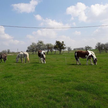 Gite La Besse, Claudon Dış mekan fotoğraf
