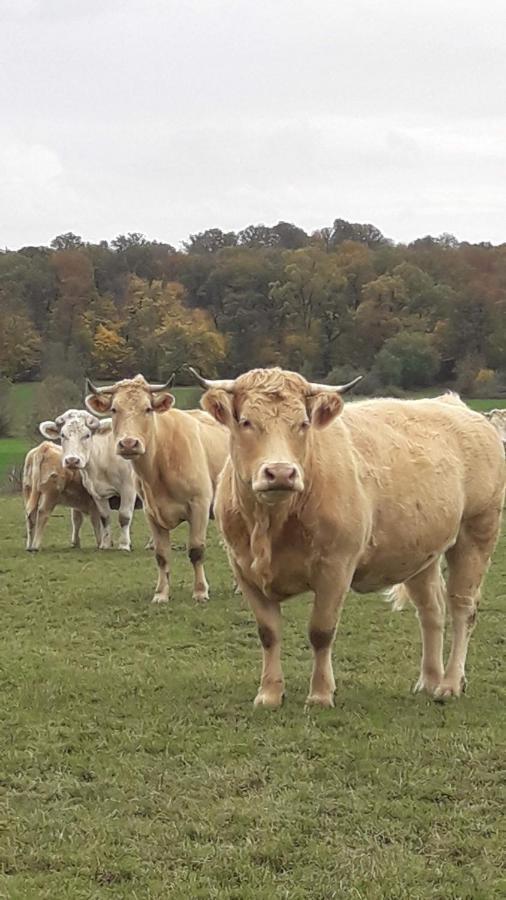 Gite La Besse, Claudon Dış mekan fotoğraf