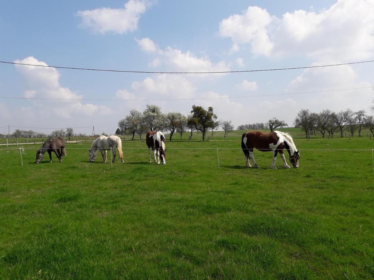 Gite La Besse, Claudon Dış mekan fotoğraf